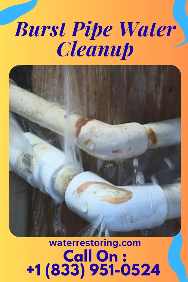 Burst Pipe Water Cleanup in Lookingglass, OR