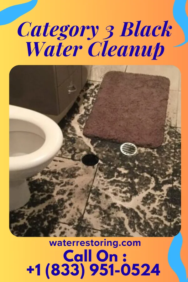 Category 3 Black Water Cleanup in Lookingglass, OR